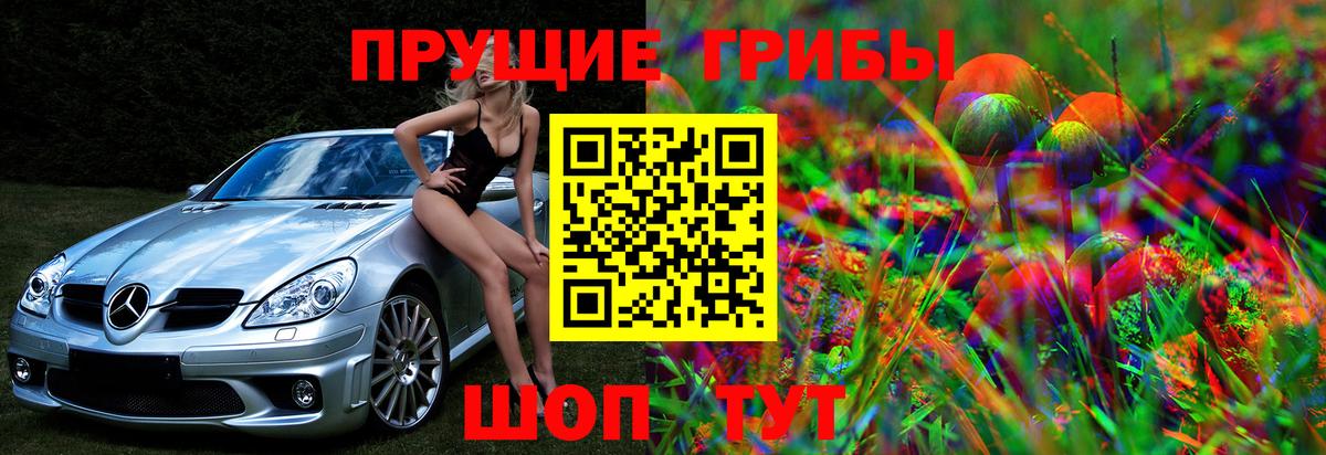где продают   Галлюциногенные грибы MAGIC MUSHROOMS  Гусиноозёрск  Вход с VPN  Псилоцибиновые грибы ЛСД 