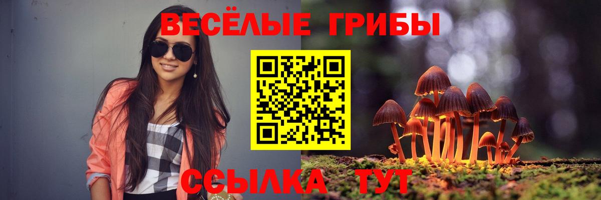Псилоцибиновые грибы Cubensis Гусиноозёрск